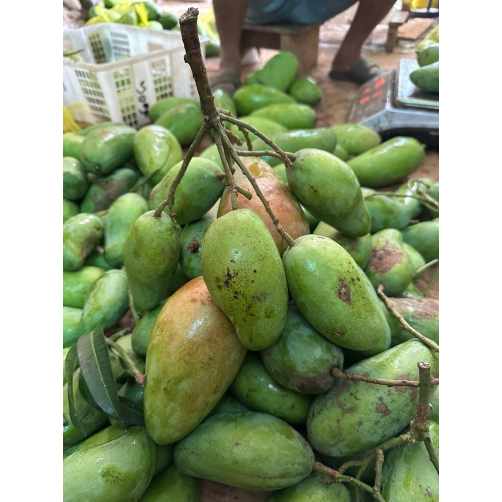 

Buah mangga BABY KIOJAY 1kg fresh rujakan manis asem seger.