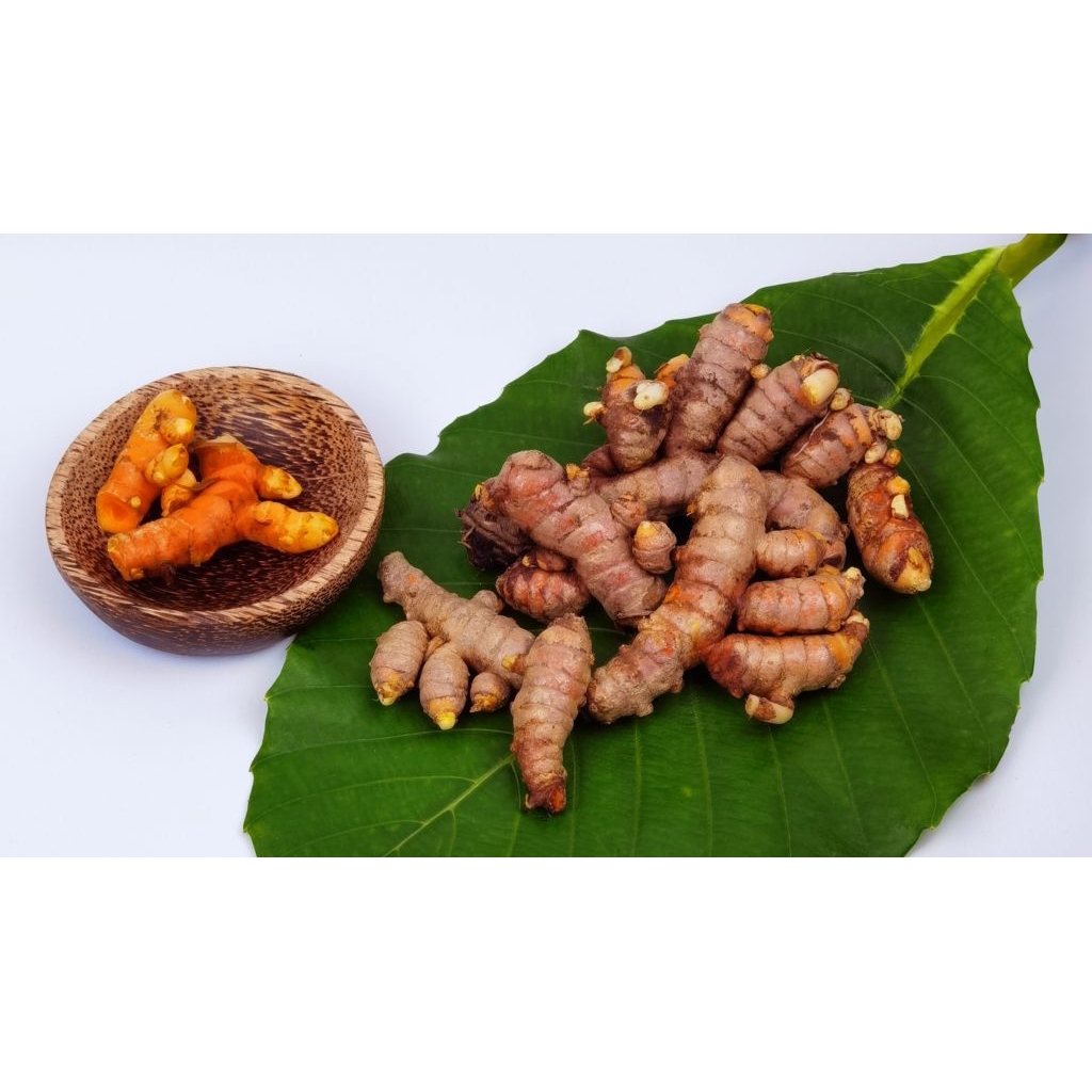 

kunyit kuning fresh 250 grm