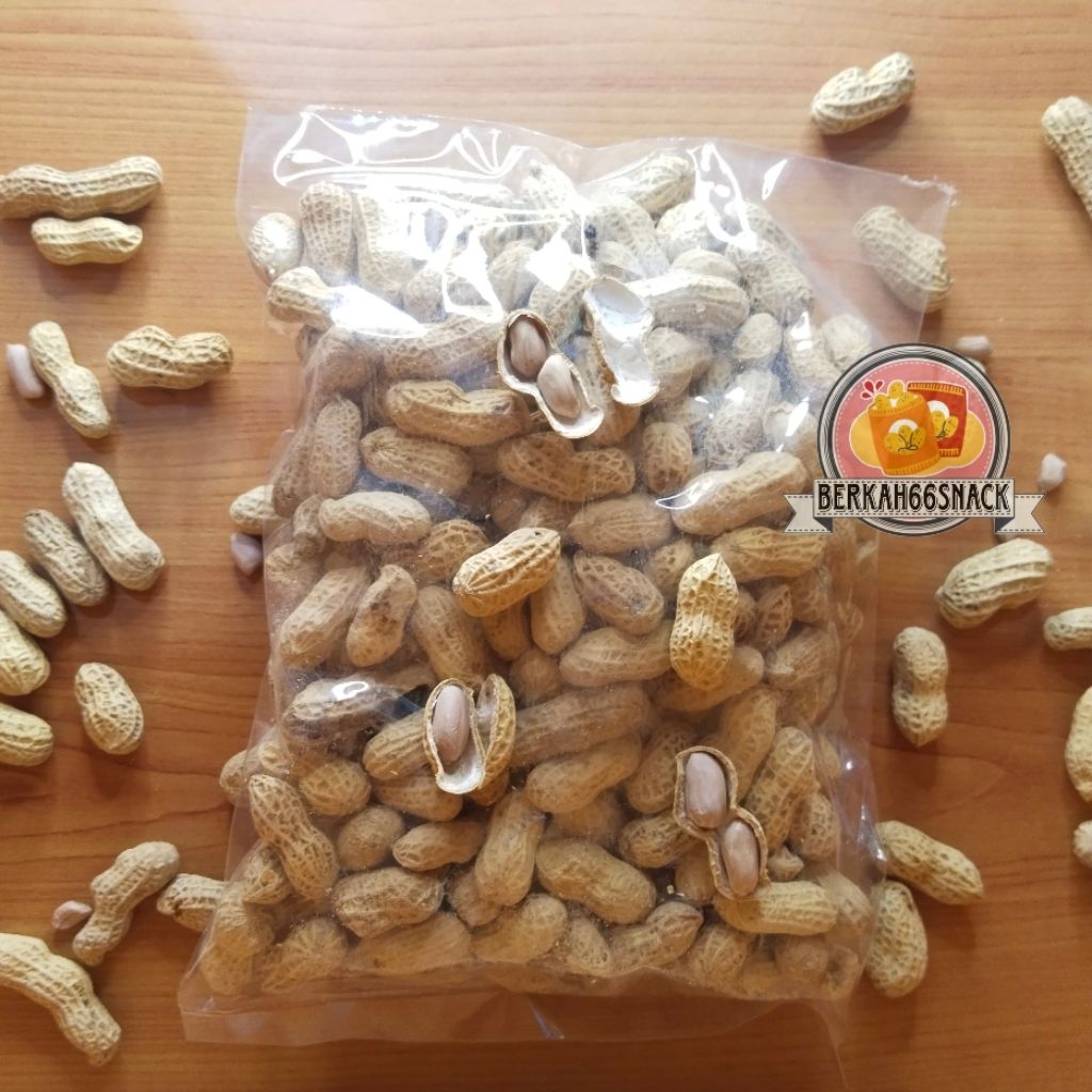 

Kacang Kulit Rasa Asin 250g | Cemilan Kacang Kulit - Kacang Hibrida | Kacang Kulit Oven
