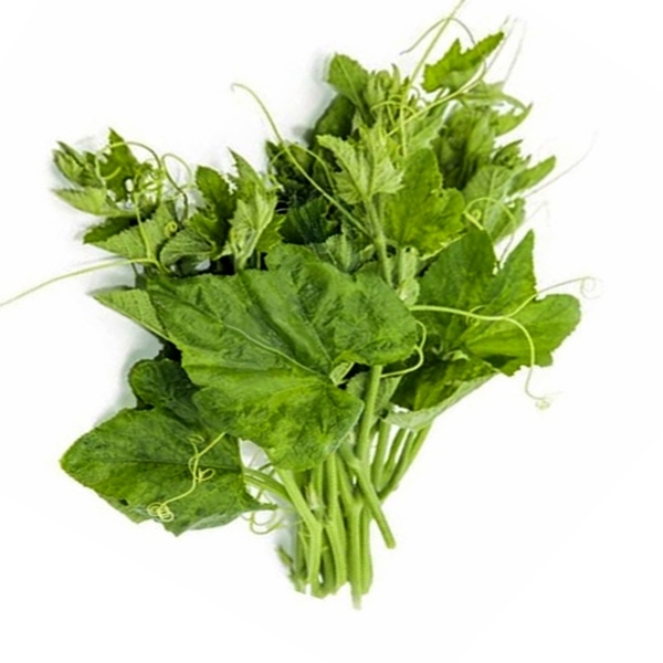 

Daun labu / Pucuk labu per ikat