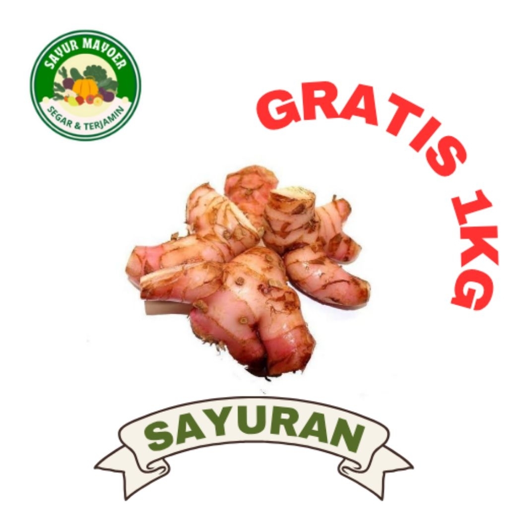 

KUNYIT per 250g