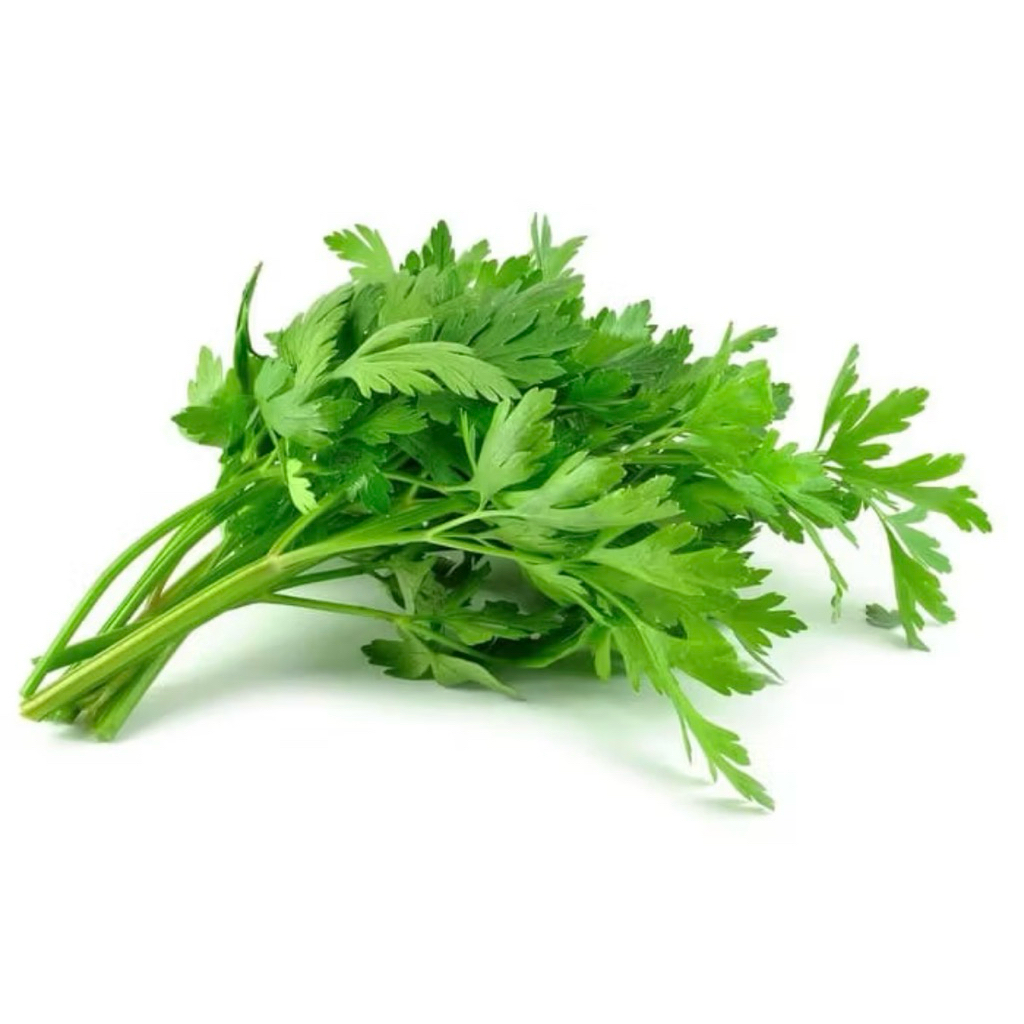 

Grosir Daun Seledri Bumbu Dapur Segar 50 gram Murah