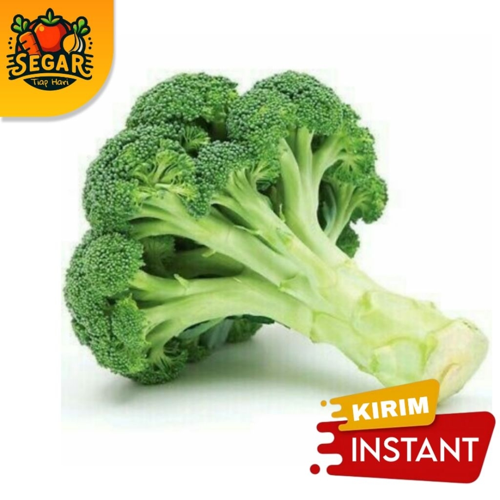 

SEGAR TIAP HARI | BROKOLI FRESH - 500GR