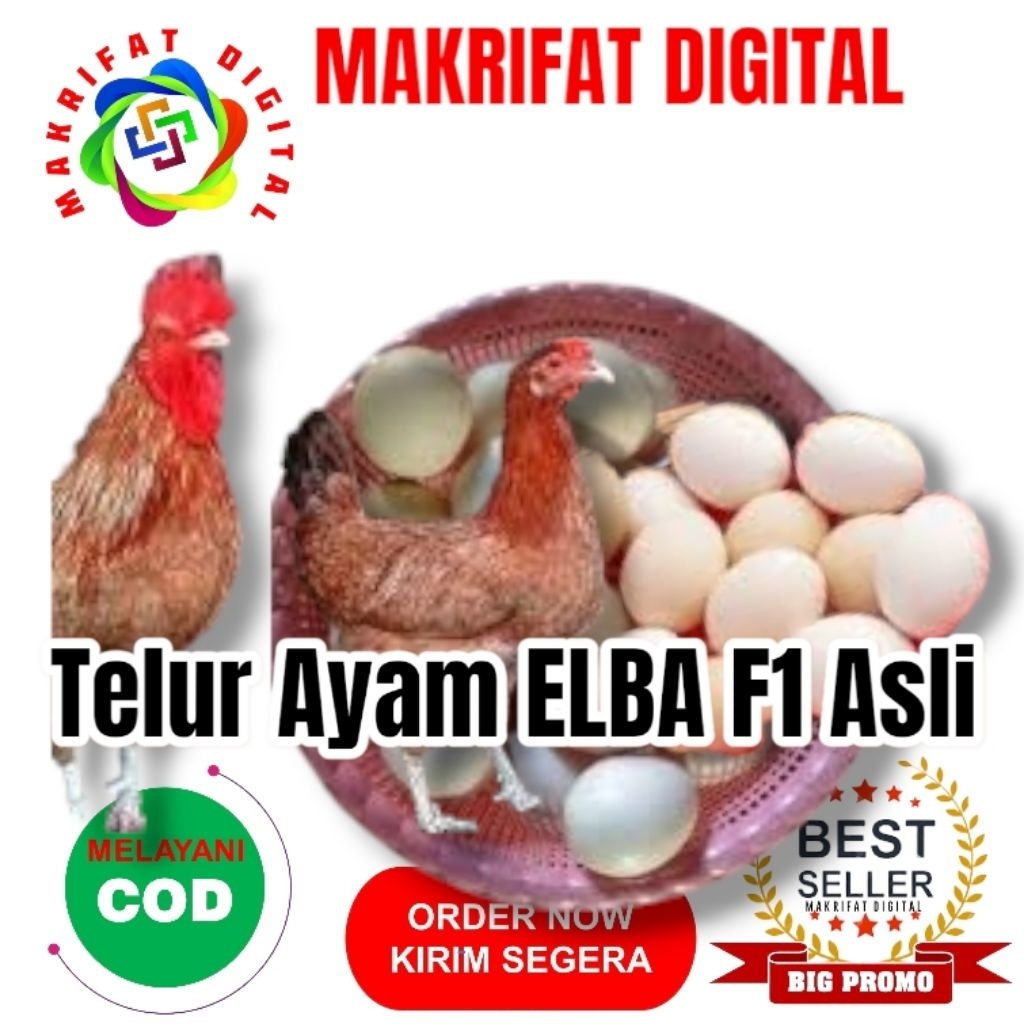 

MAKRIFAT DIGITAL Paket 10 Pcs Telur FERTIL Ayam ELBA F1 ASLI Untuk Ditetaskan Produksi Farm Profesional Mitra Makrifat Digital