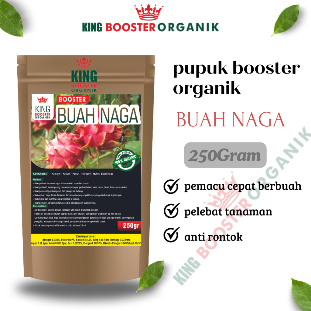 Pupuk Organik Buah Naga Perangsang dan Booster Ampuh Agar Cepat Berbuah Lebat Pupuk buah naga cepat 