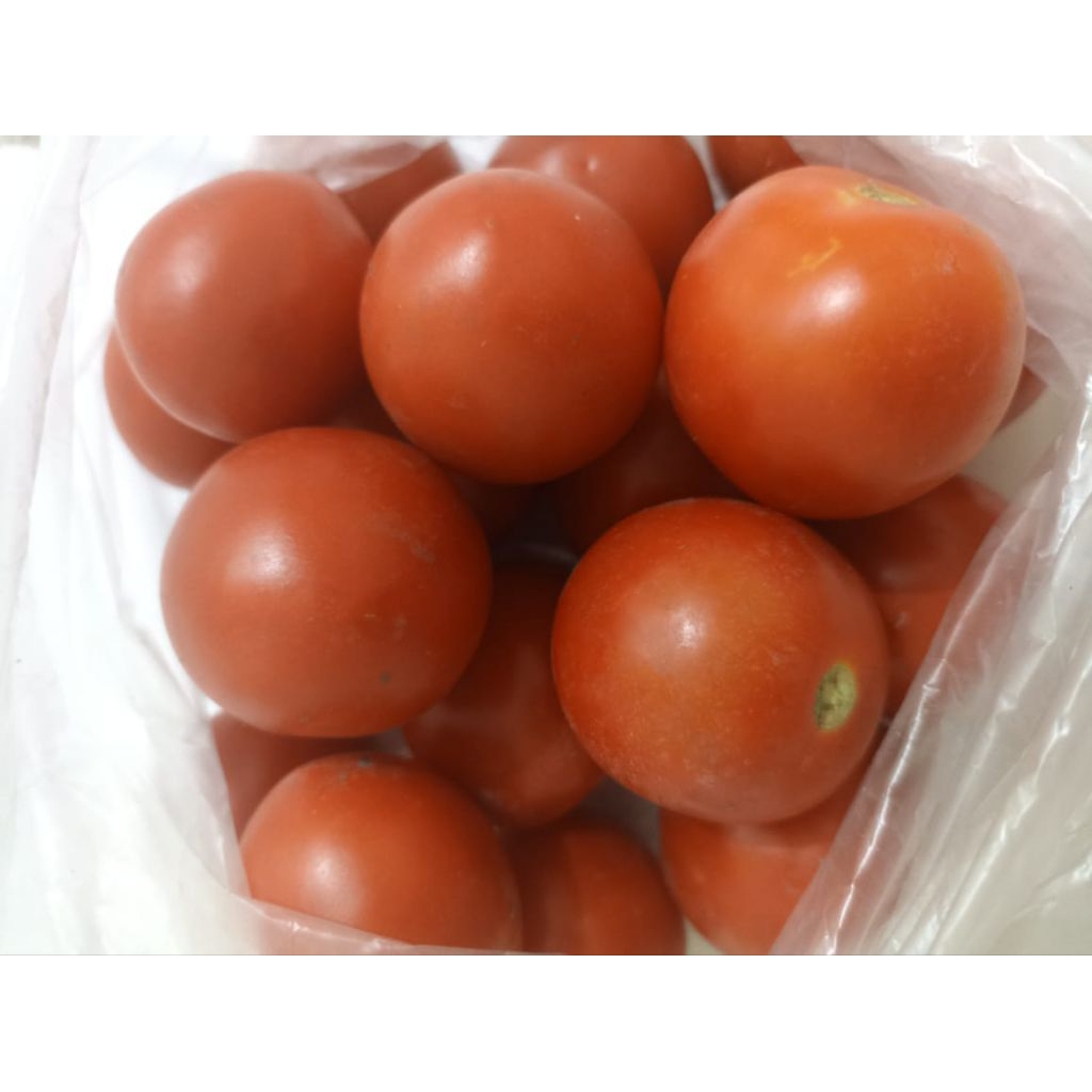 

tomat 500 gram