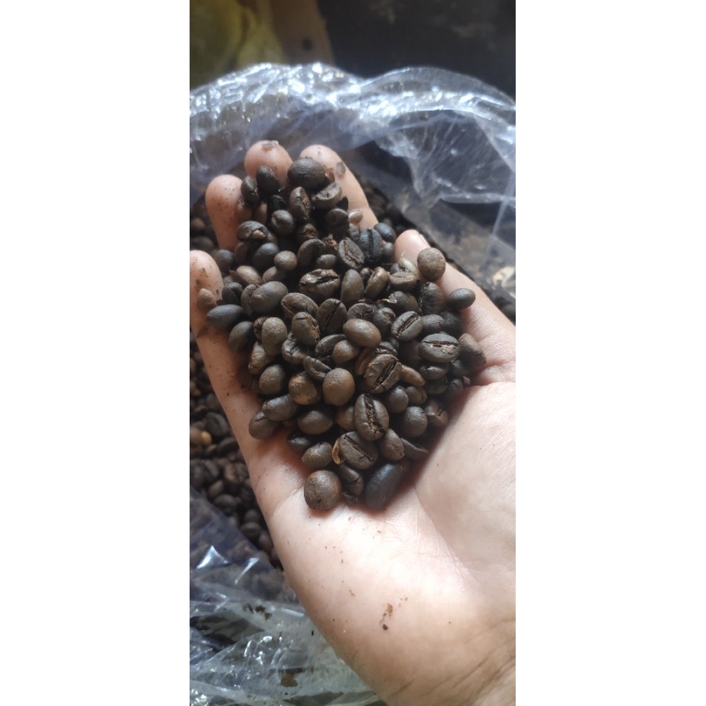 

TERMURAH! BIJI KOPI ROBUSTA 250GRAM