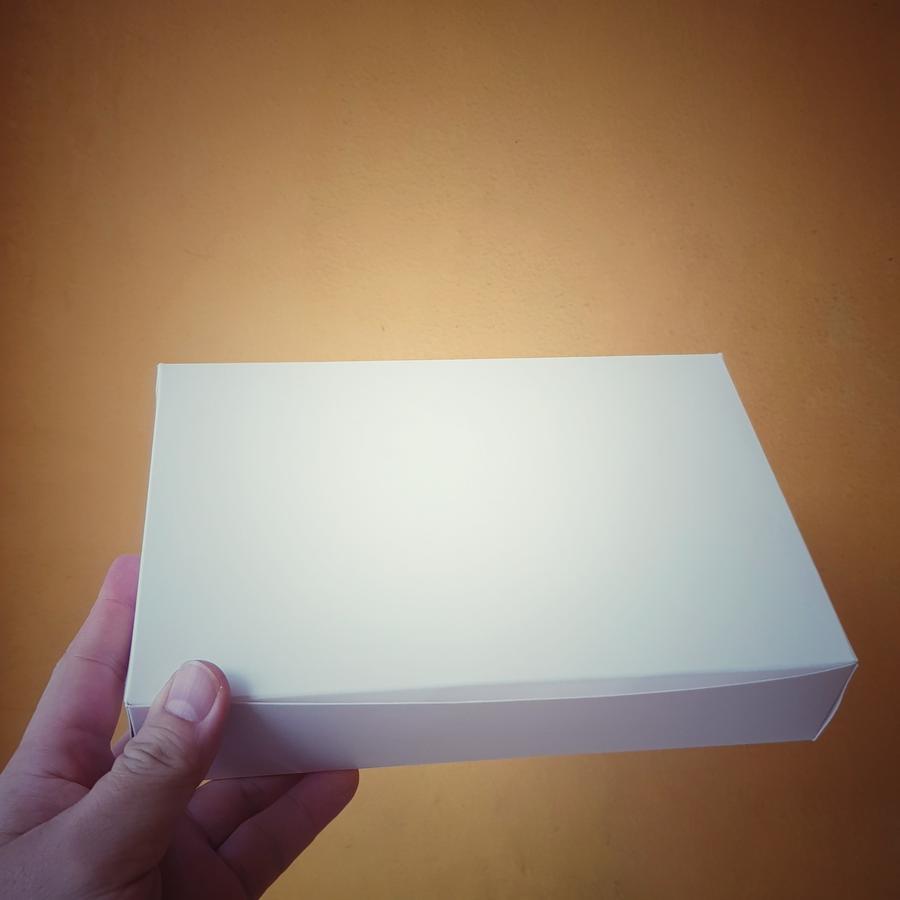 

Box Eggtart Large Box Kue Dan Mochi Box Hampers Ukuran 24 x 18 x 4.5 cm