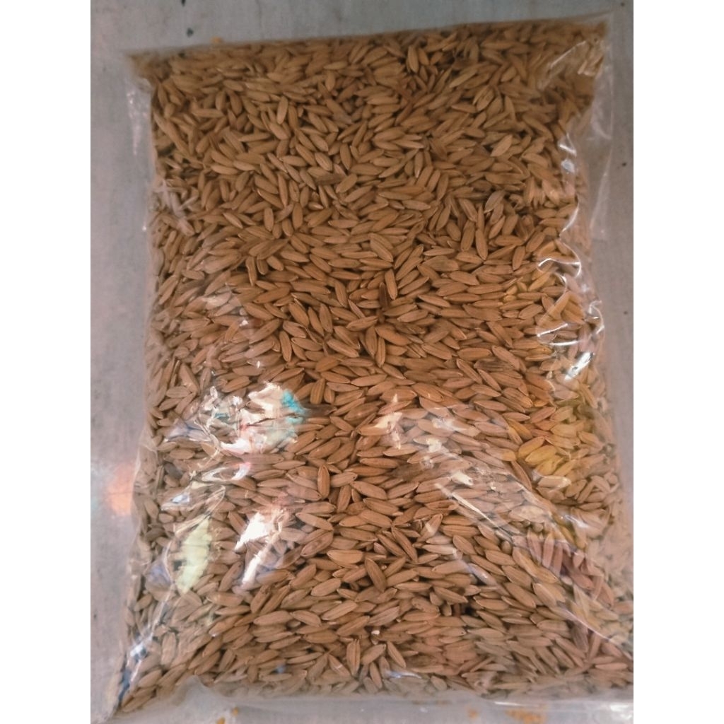 

GABAH BERAS MERAH 1kg