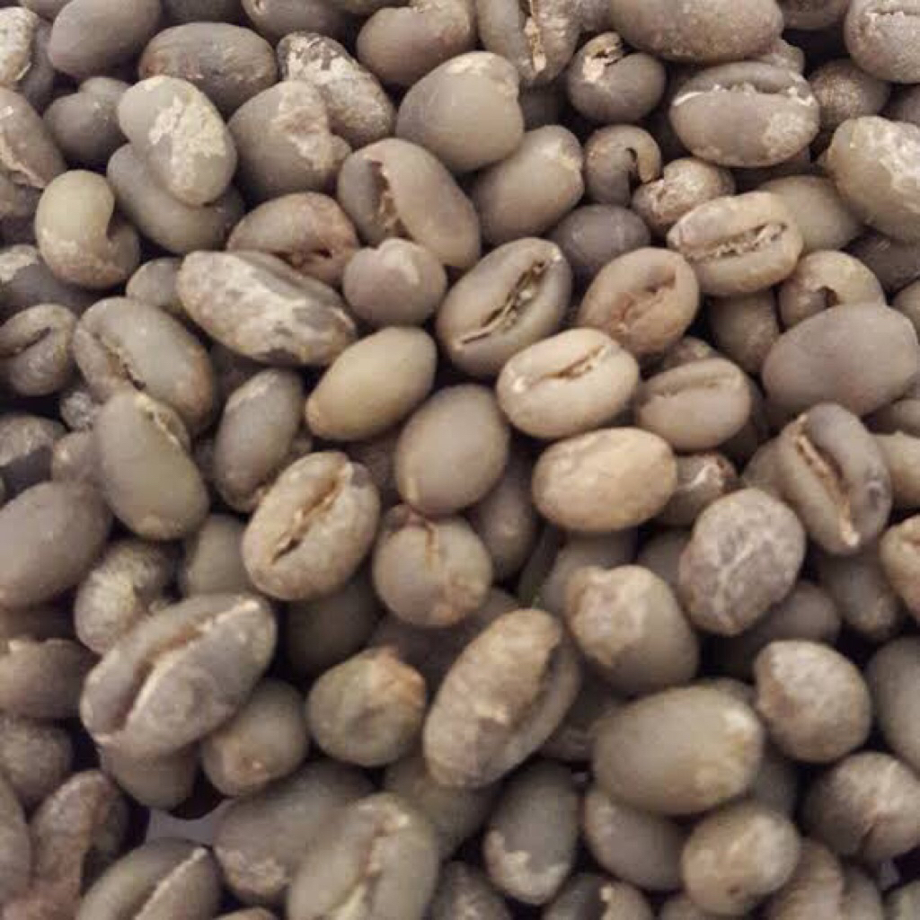 

Biji kopi robusta dampit Green bean robusta dampit