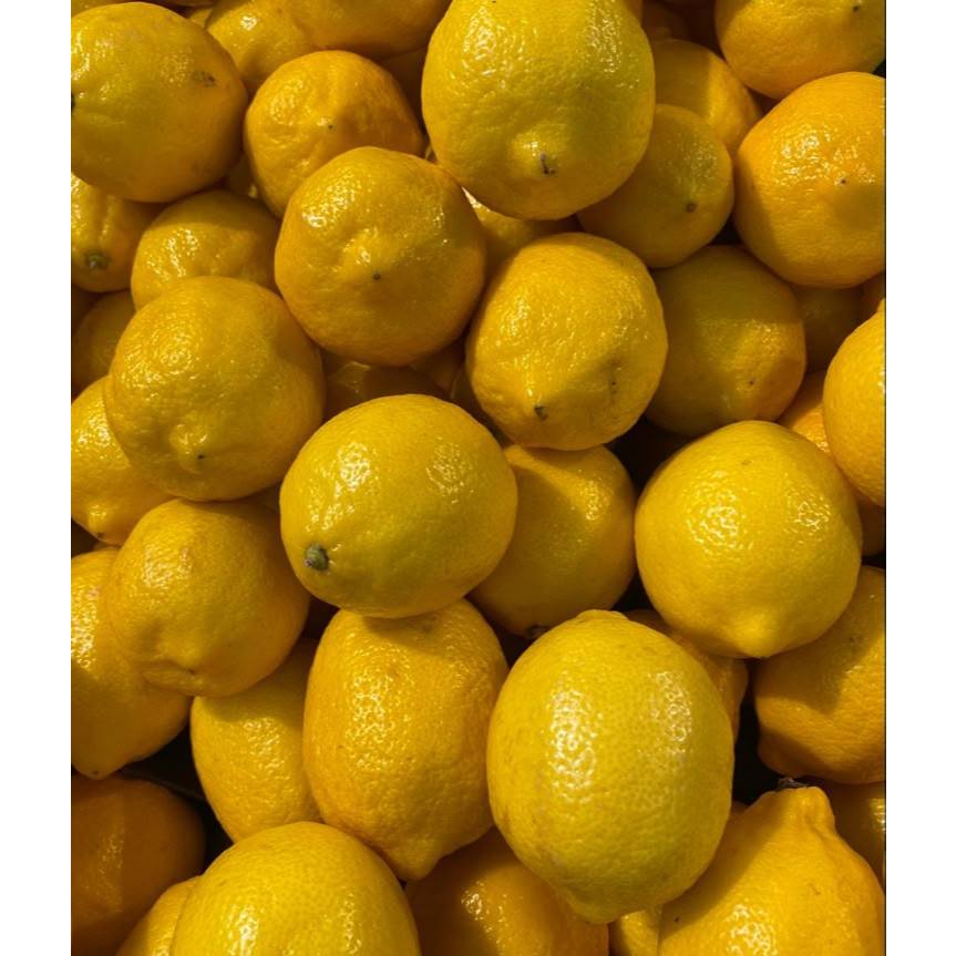 

Buah Jeruk Lemon Caloifornia Fresh Segar Berkualitas 1kg / Jeruk lemon california siap panen - jeruk lemon california panen dadakan langsung dari kebun