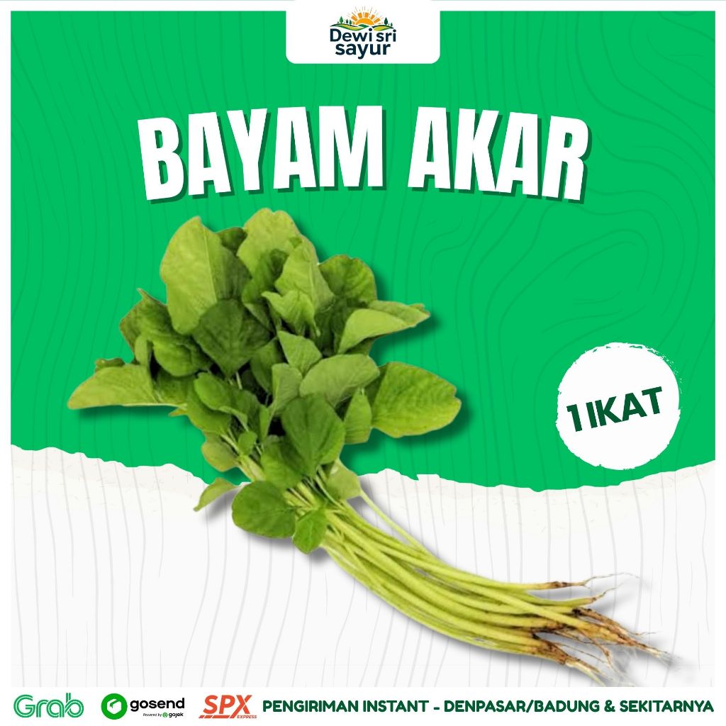 

Bayam Akar 1 Ikat – Dewi Sri Sayur