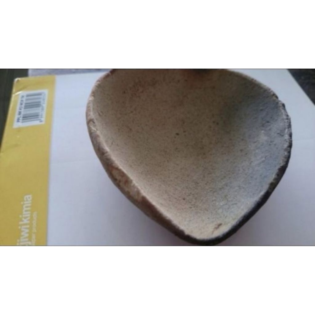 Kowi padang ukuran besar