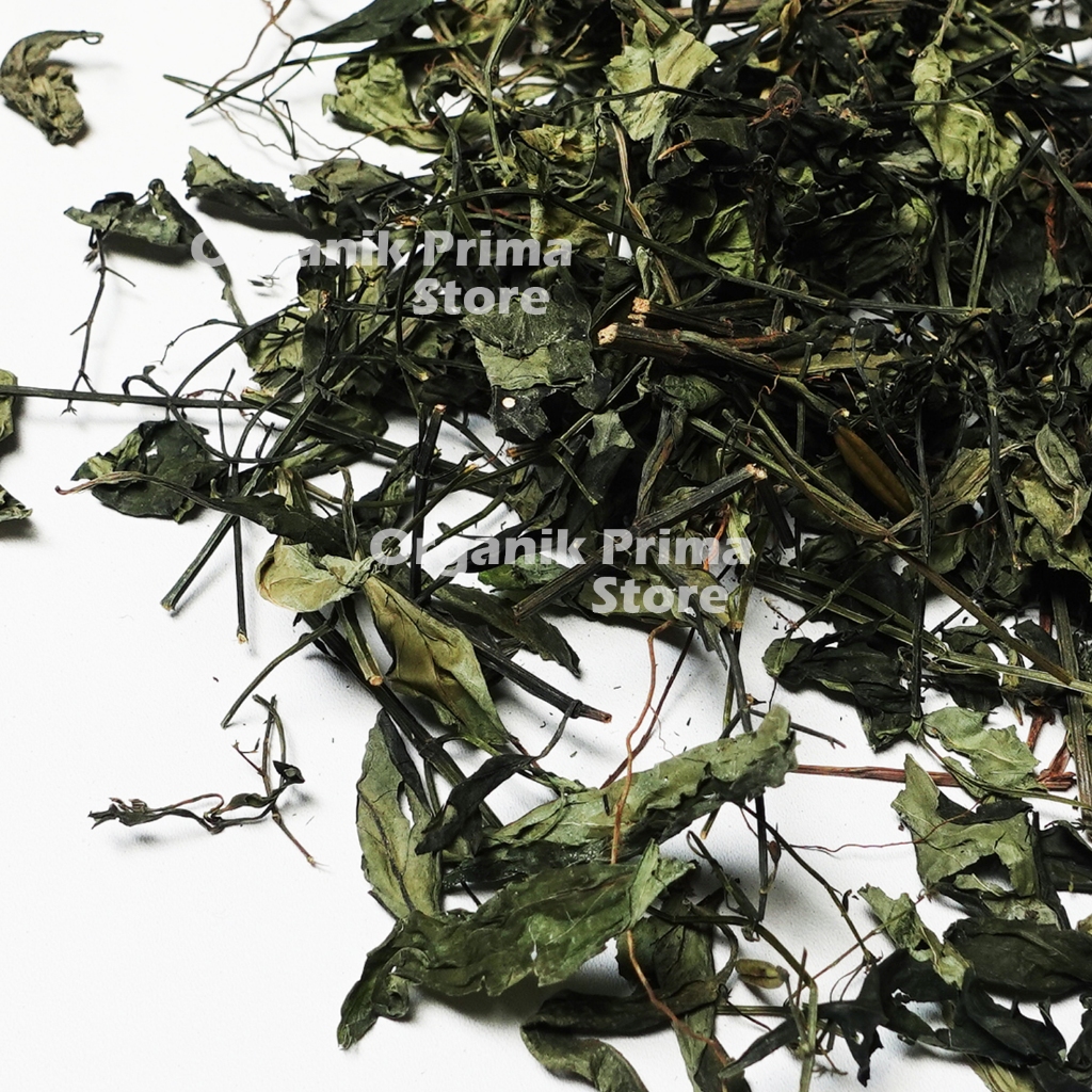 

Sambiloto Kering 250gr Sambiroto Asli Bersih dan Organik