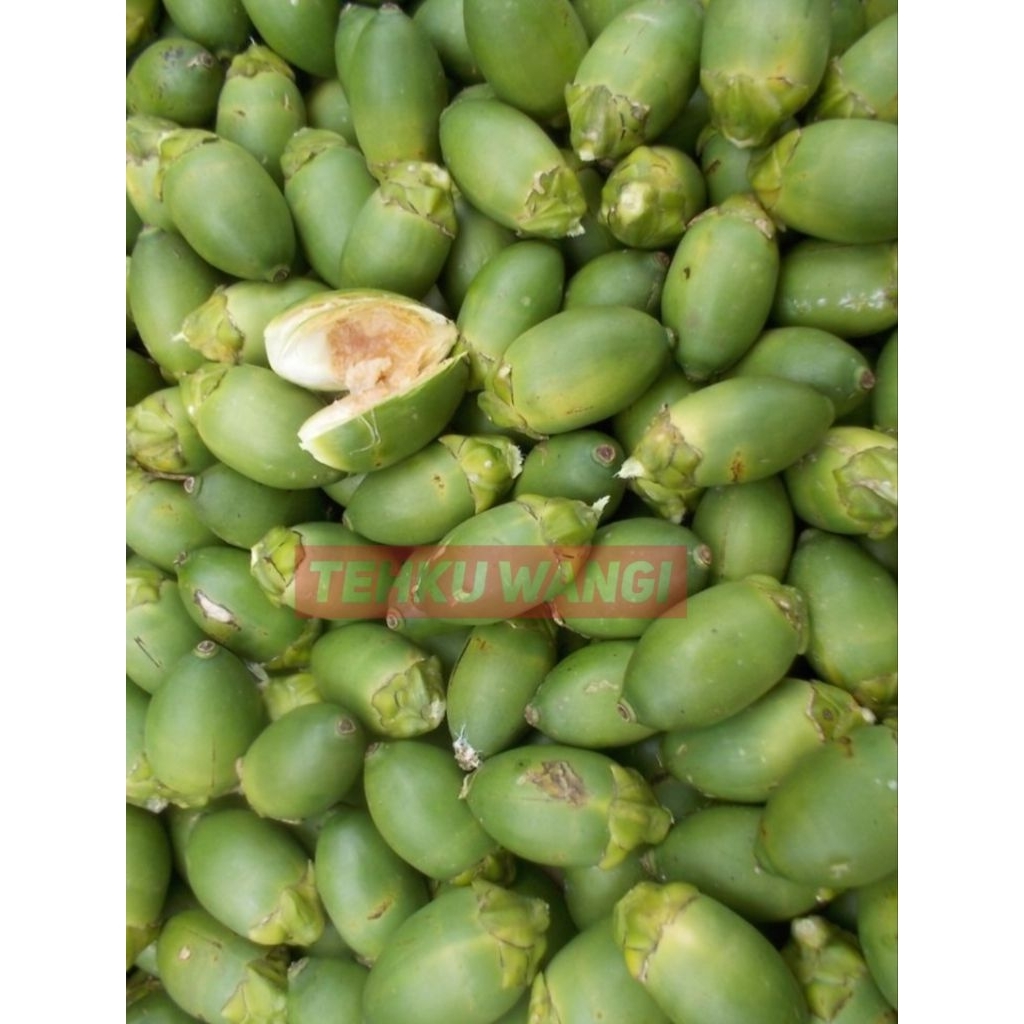 

Buah Pinang Segar 1kg | Best Quality