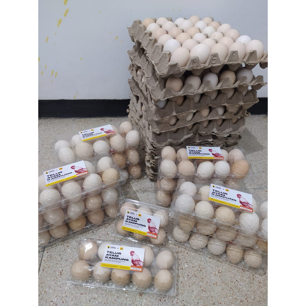 

Telur Ayam Kampung Omega 3
