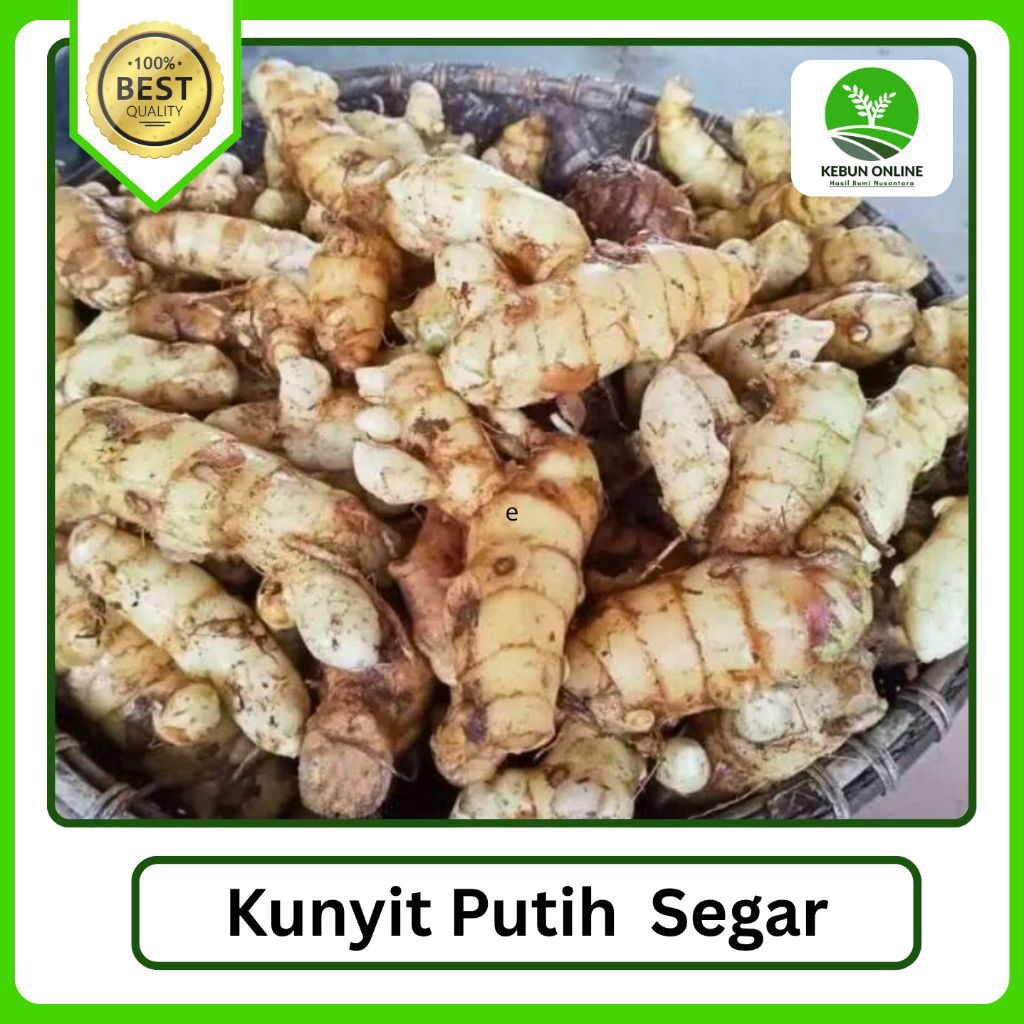 

Kunyit putih segar1000g COD murah