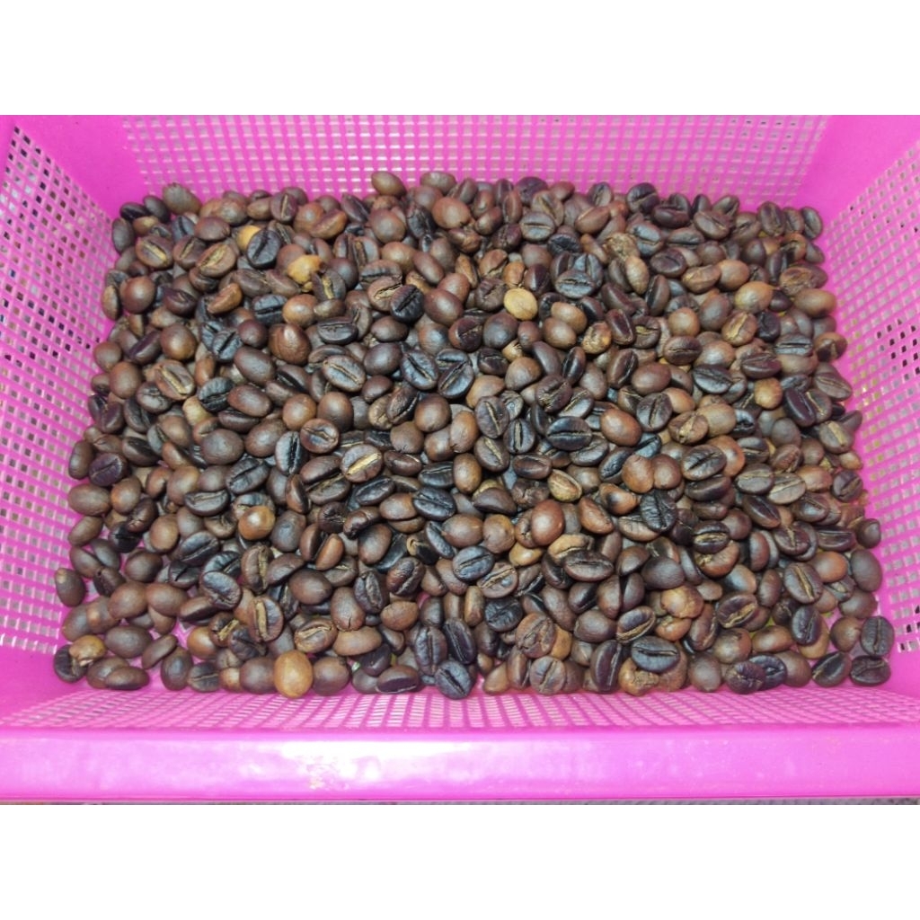 

BUBUK KOPI ROBUSTA JAMBI