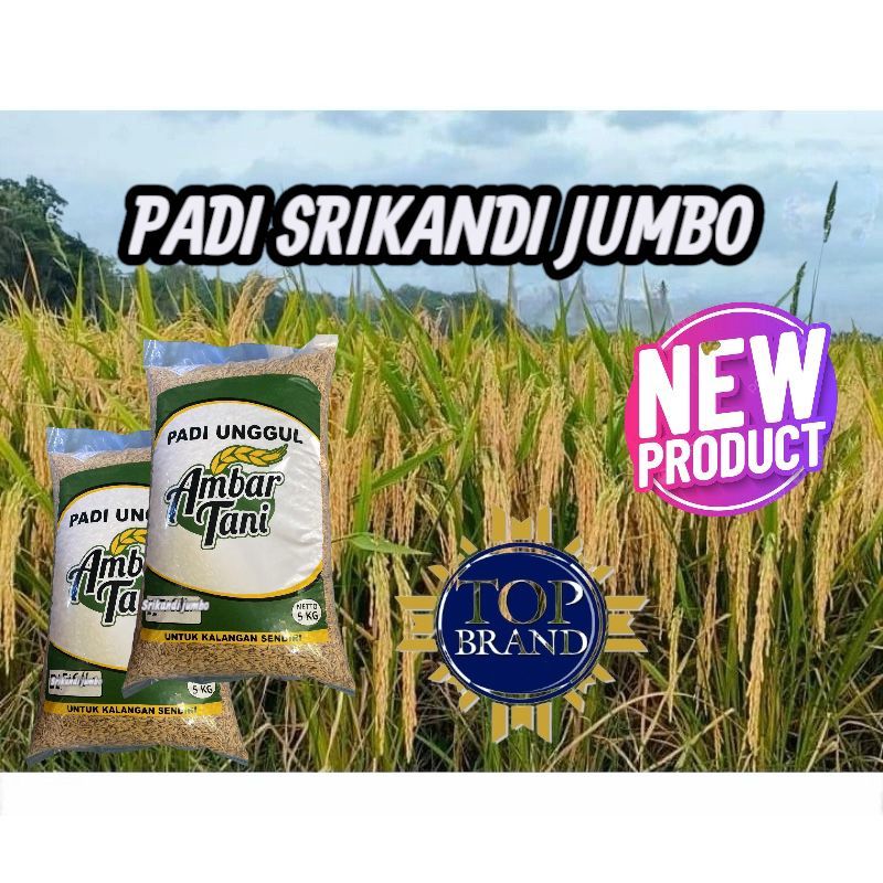 Bibit benih padi kemasan 5kg padi srikandi jumbo premium