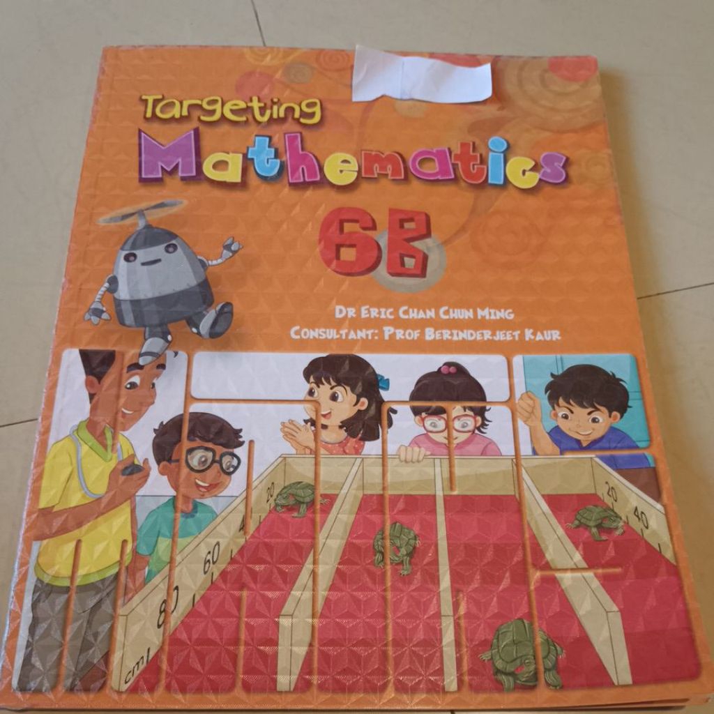 Targeting Mathematics 6B