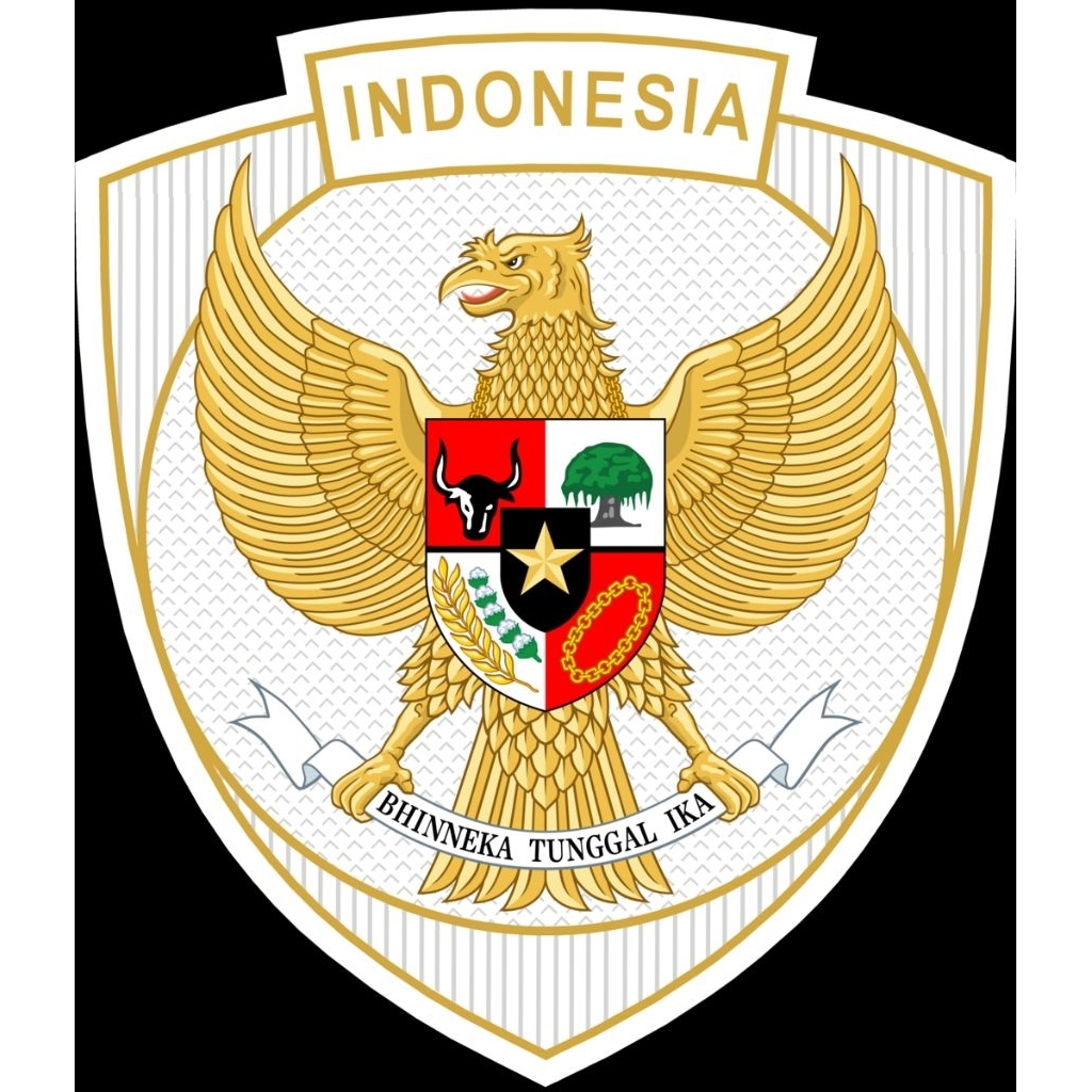 Jersey Timnas Versi Player issue