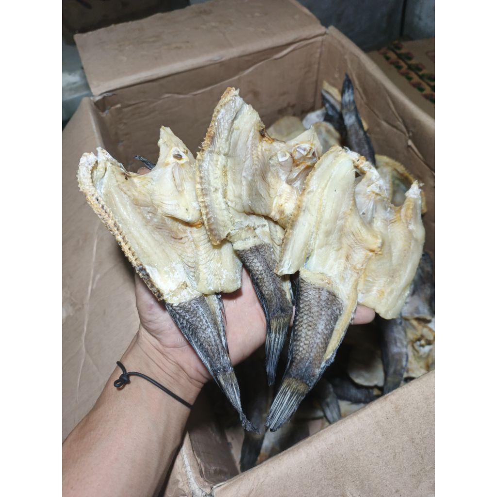 

Grosir ikan asin, ikan gabus sedang, ikan asin gabus, berat 1000gram