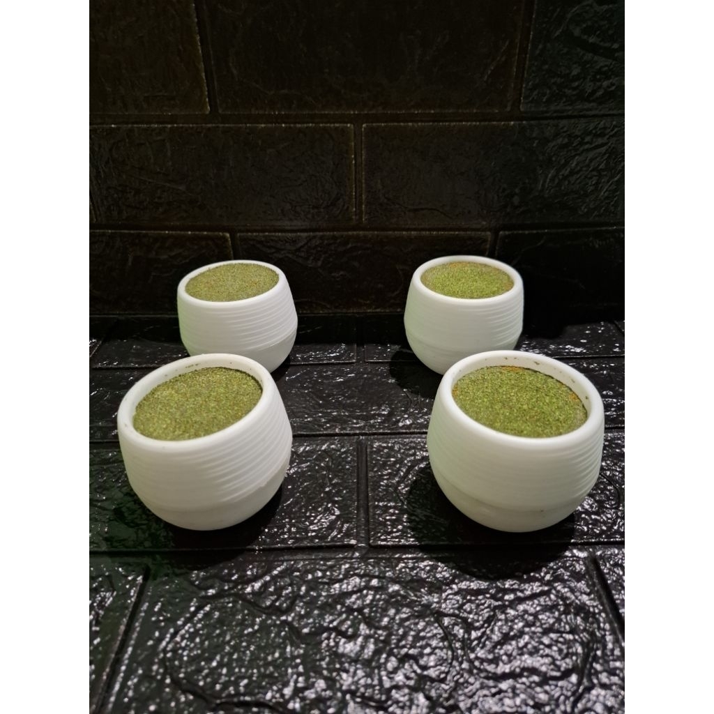 pot bola pot bunga+busa+rumput/pot bunga hias/pot mini