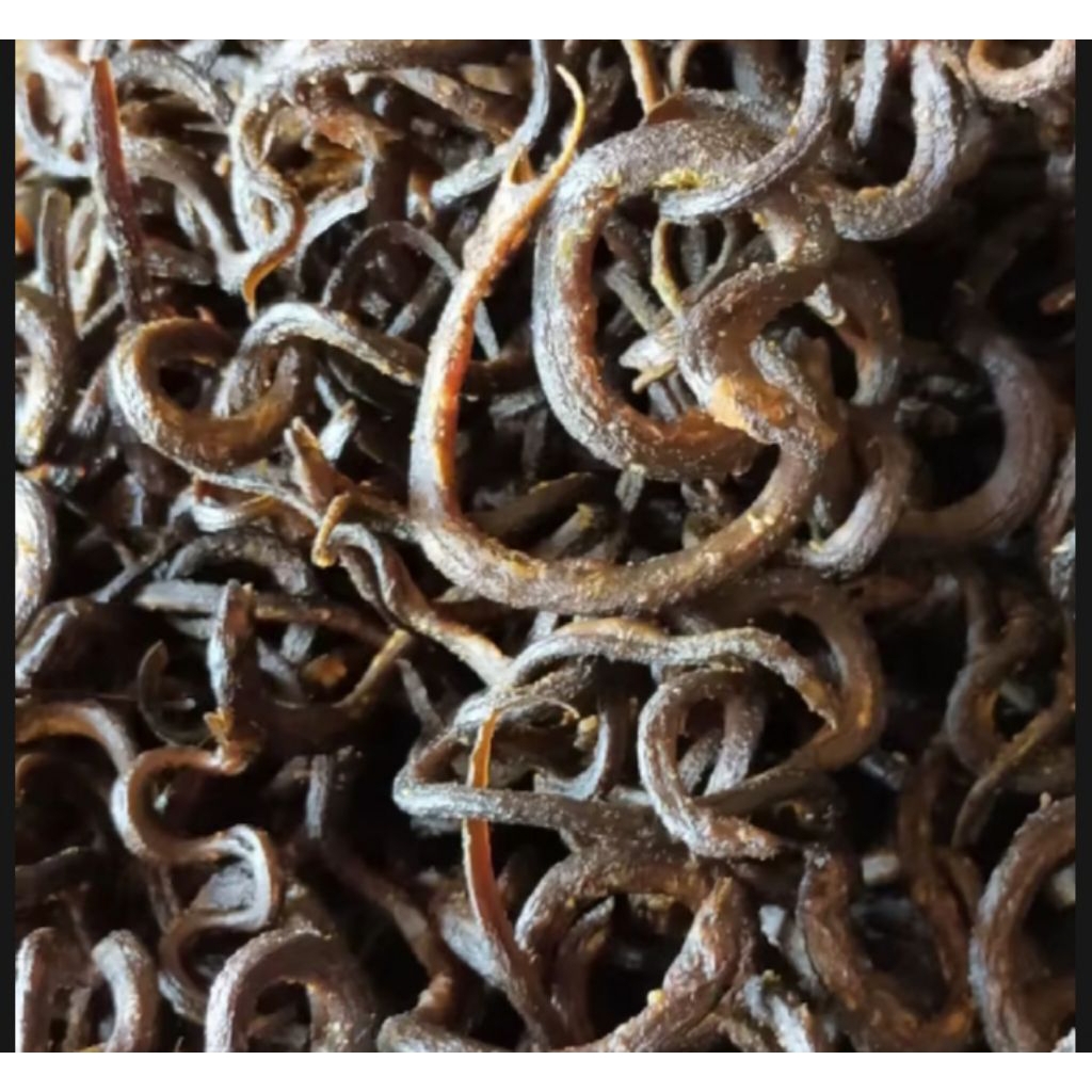 

KRIPIK BELUT GURIH RENYAH TANPA TEPUNG 100 GRAM