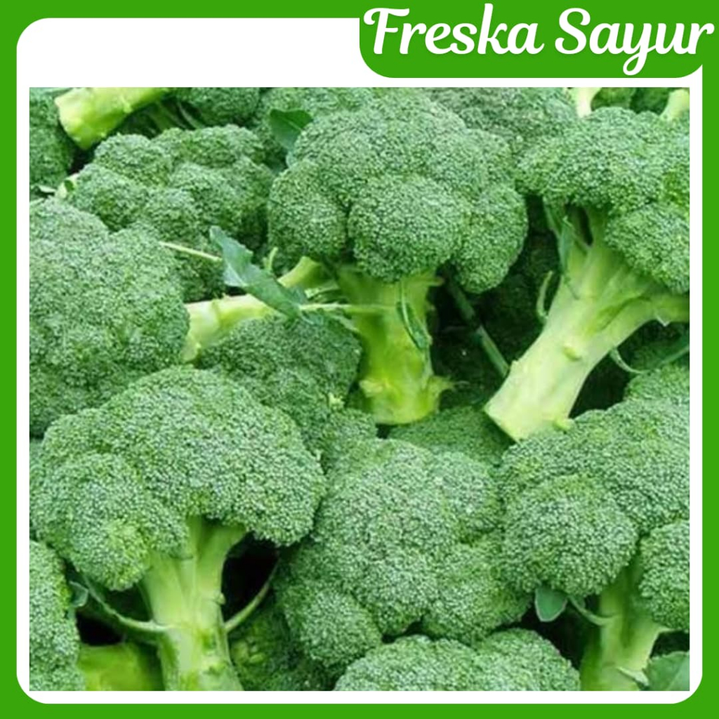 

PAKET GROSIR I Brokoli 2 kg I Brocoli