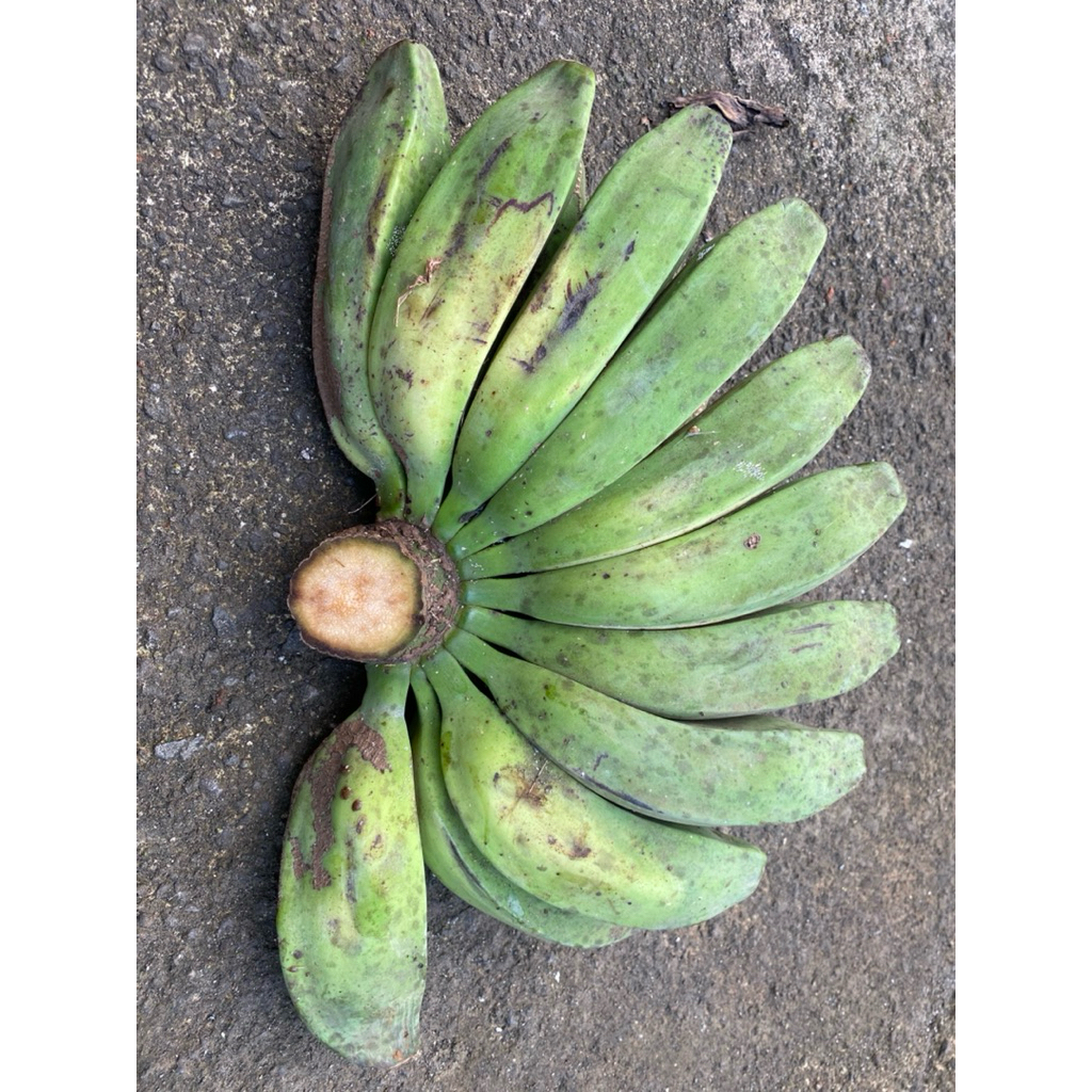 

Pisang kepok gede 1kg