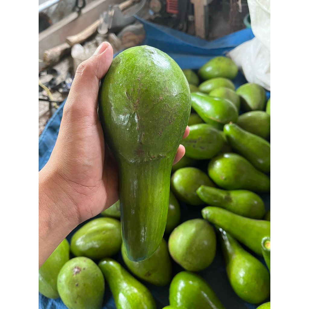 

alpukat mentega gurih frozen