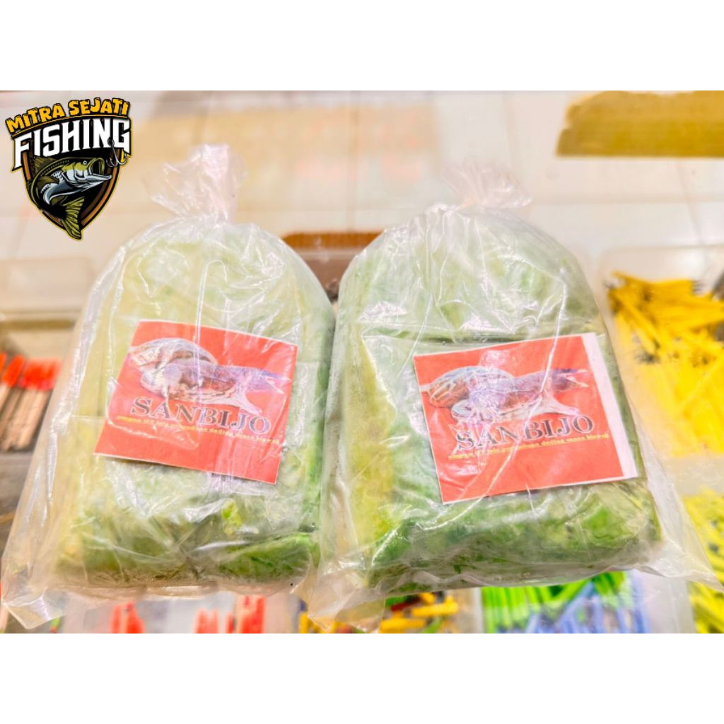 Umpan Galatama Lele Siap Pakai Daging Biawak Sanbijo
