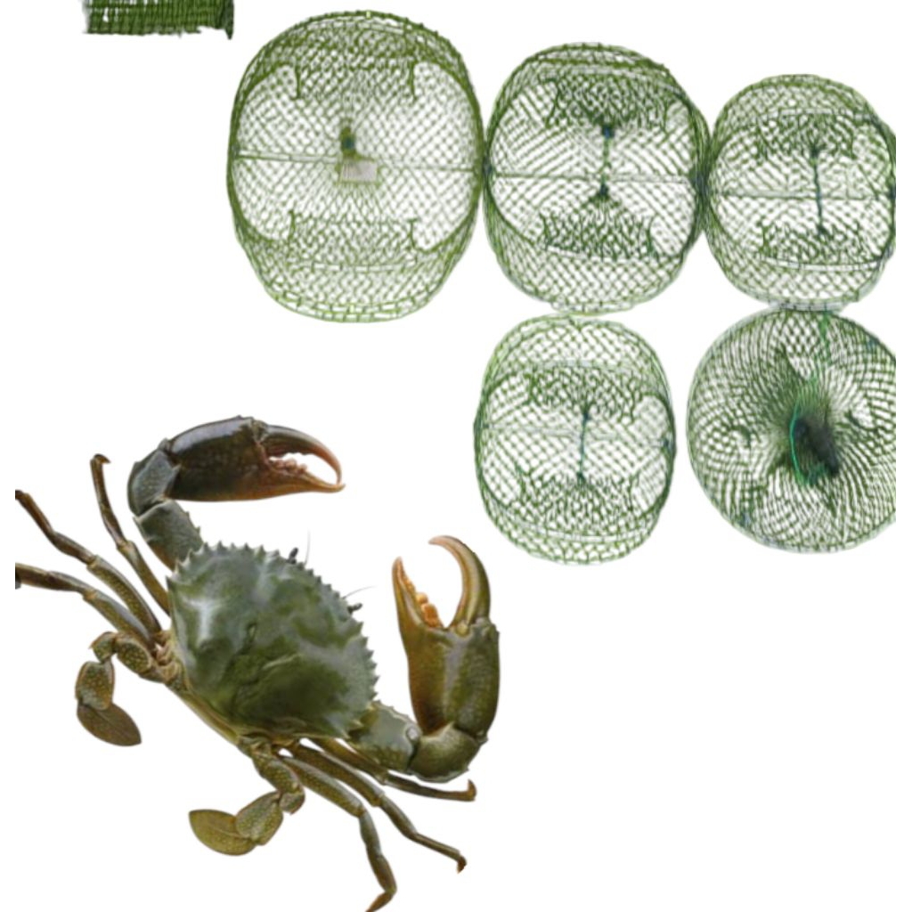 Rakkang/bubu kepiting ukuran jumbo PRO