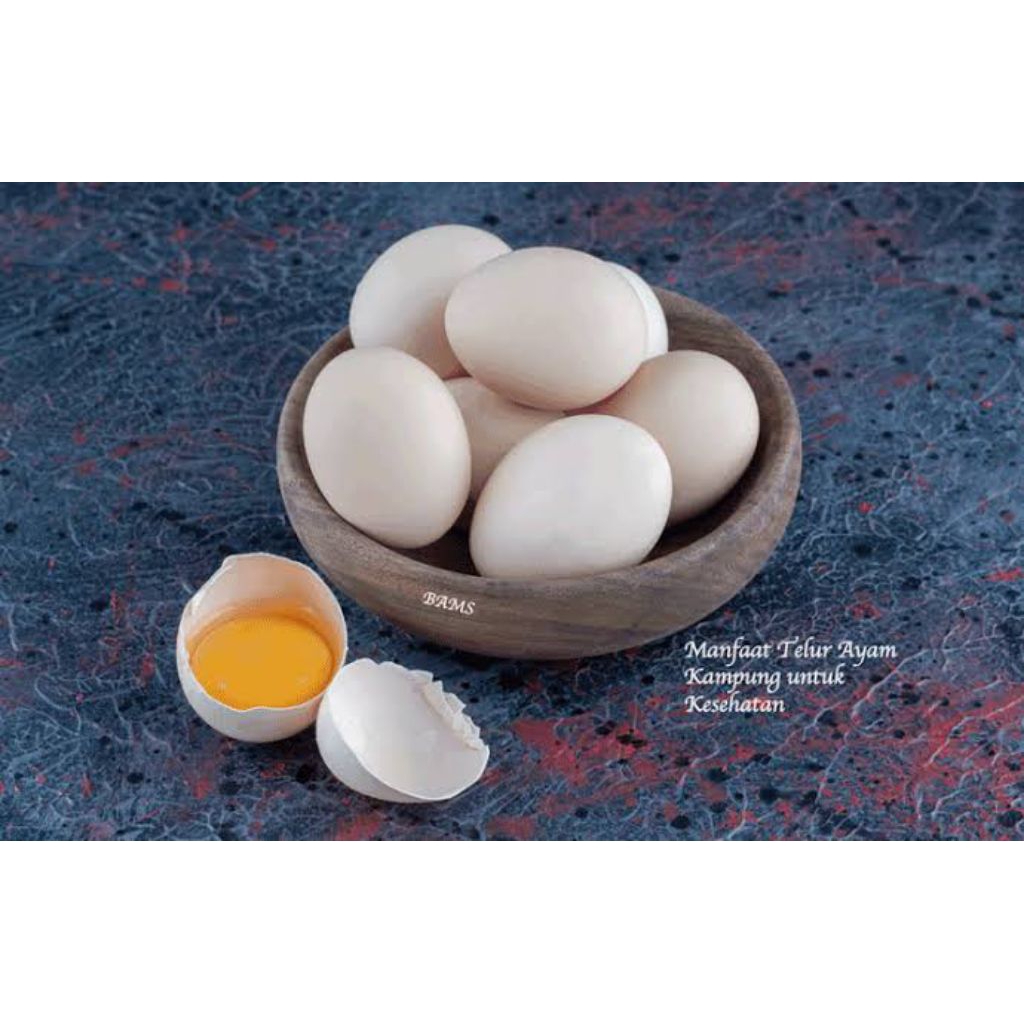

Telur Ayam Kampung 1 butir