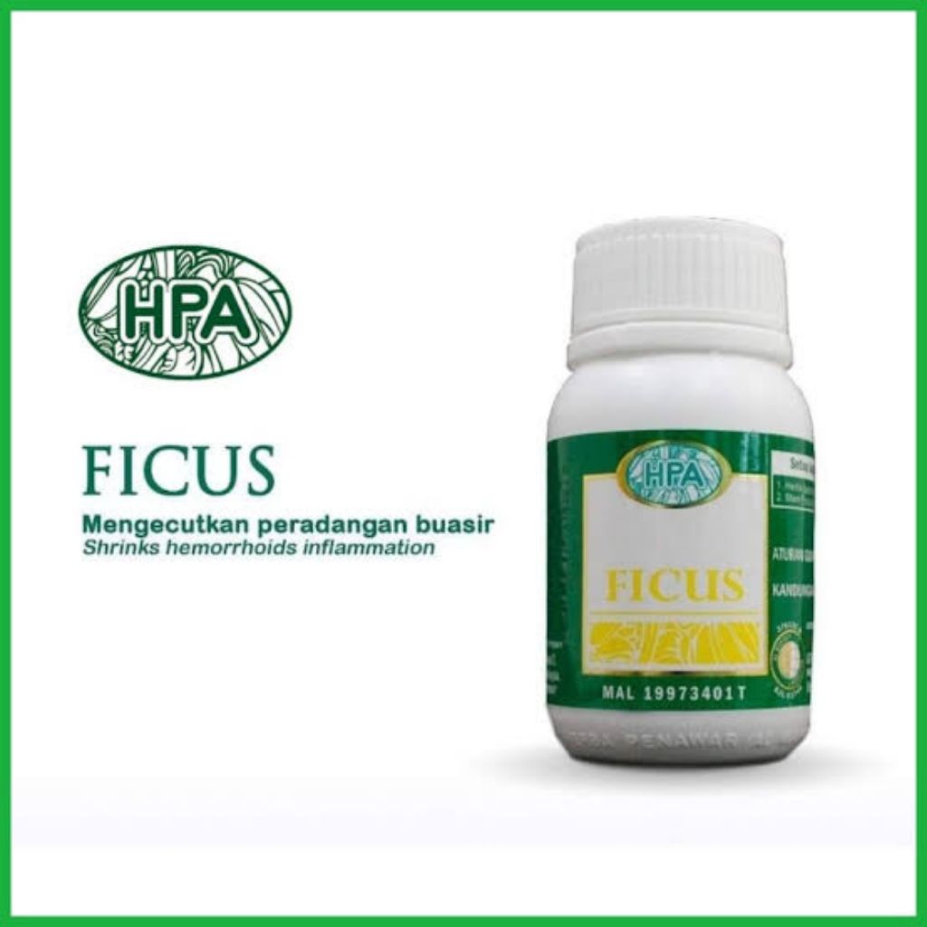 

Kapsul Ficus HPA International Pak Haji