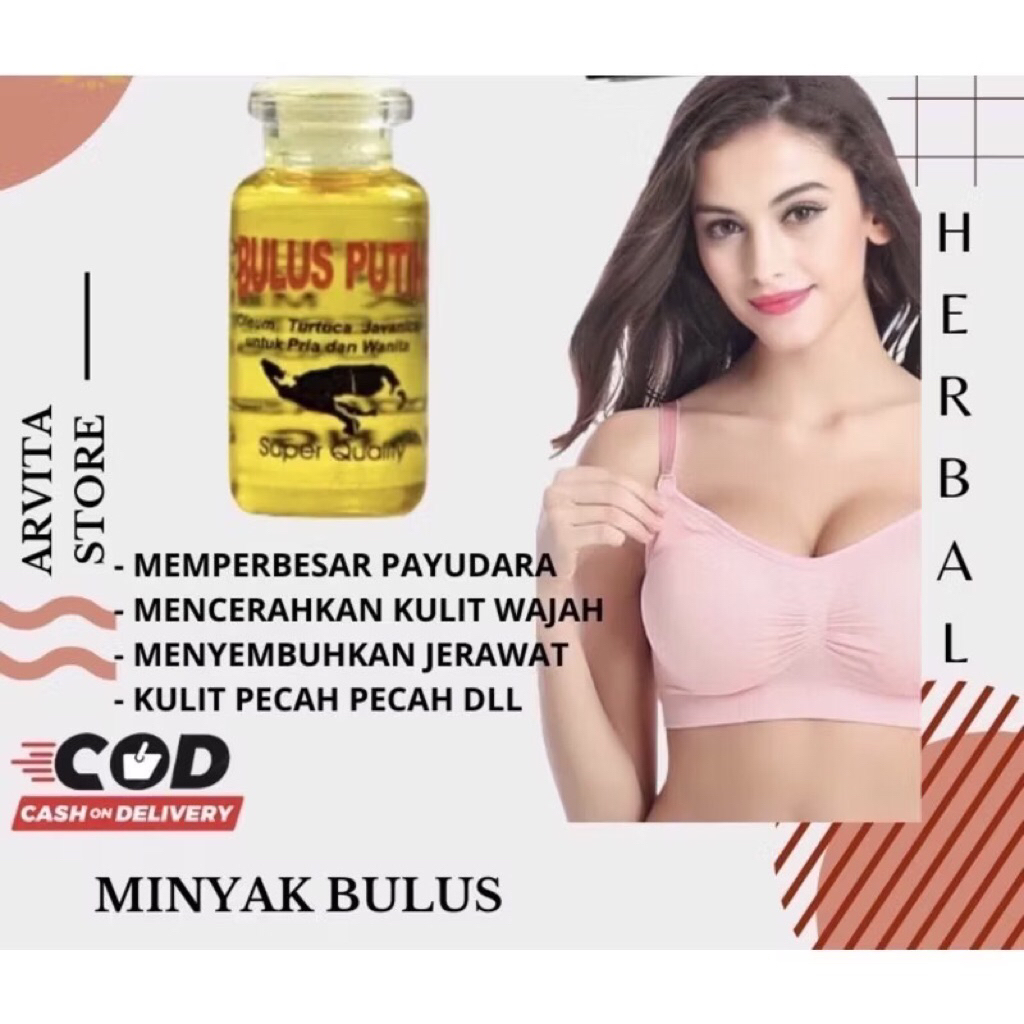 MINYAK BULUS ORIGINAL / MINYAK BULUS PUTIH ORIGINAL