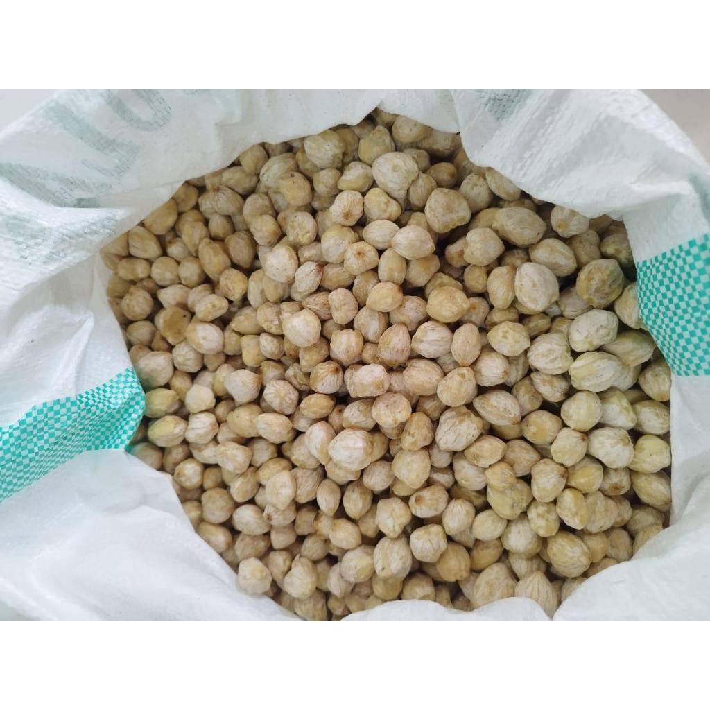 

KEMIRI MEDAN Bulat Ukuran 1000gram/500gram/250gram