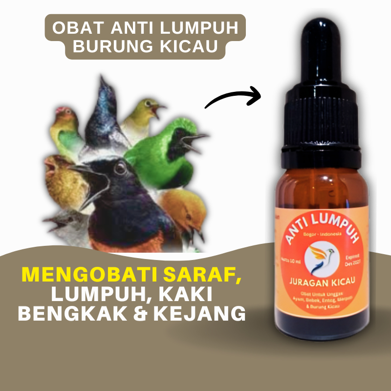 Anti Saraf Burung Kicau Obat Burung Lumpuh Kaki Bengkak Dan Masalah Saraf