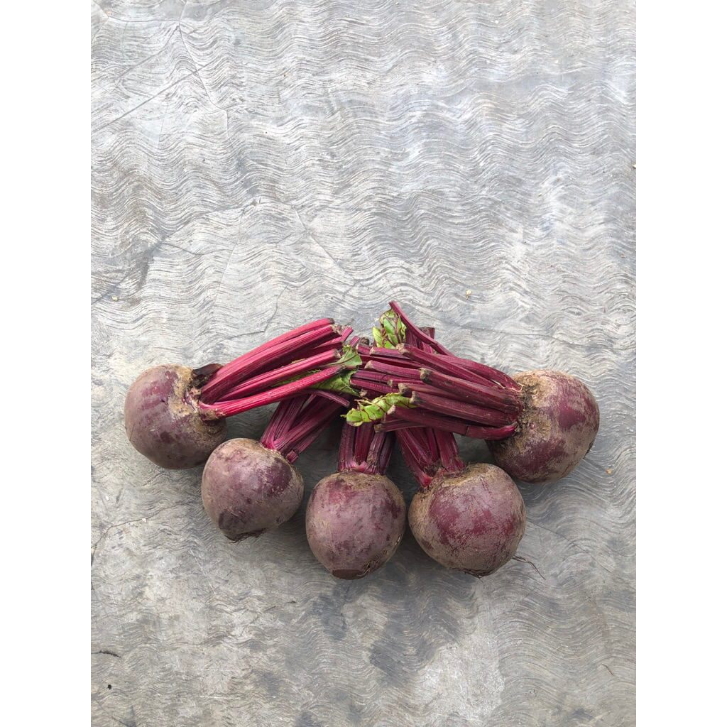 

Buah bit fresh murah per kg