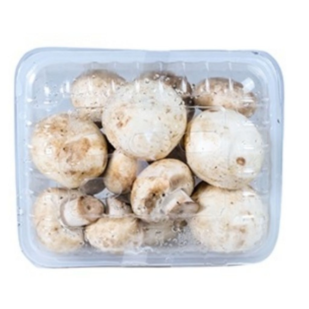 

Jamur Baby Champignon