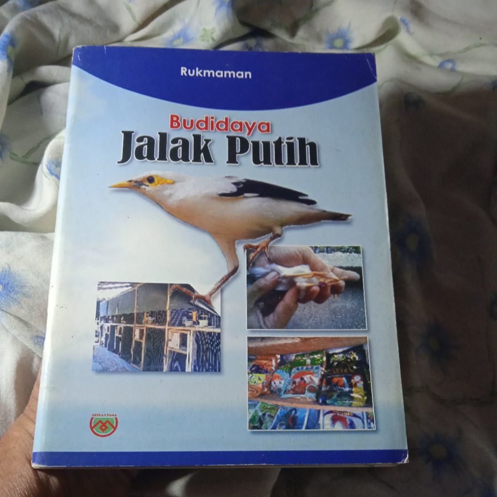 buku Budidaya Jalak Putih, cara memelihara dan melatih Jalak Putih