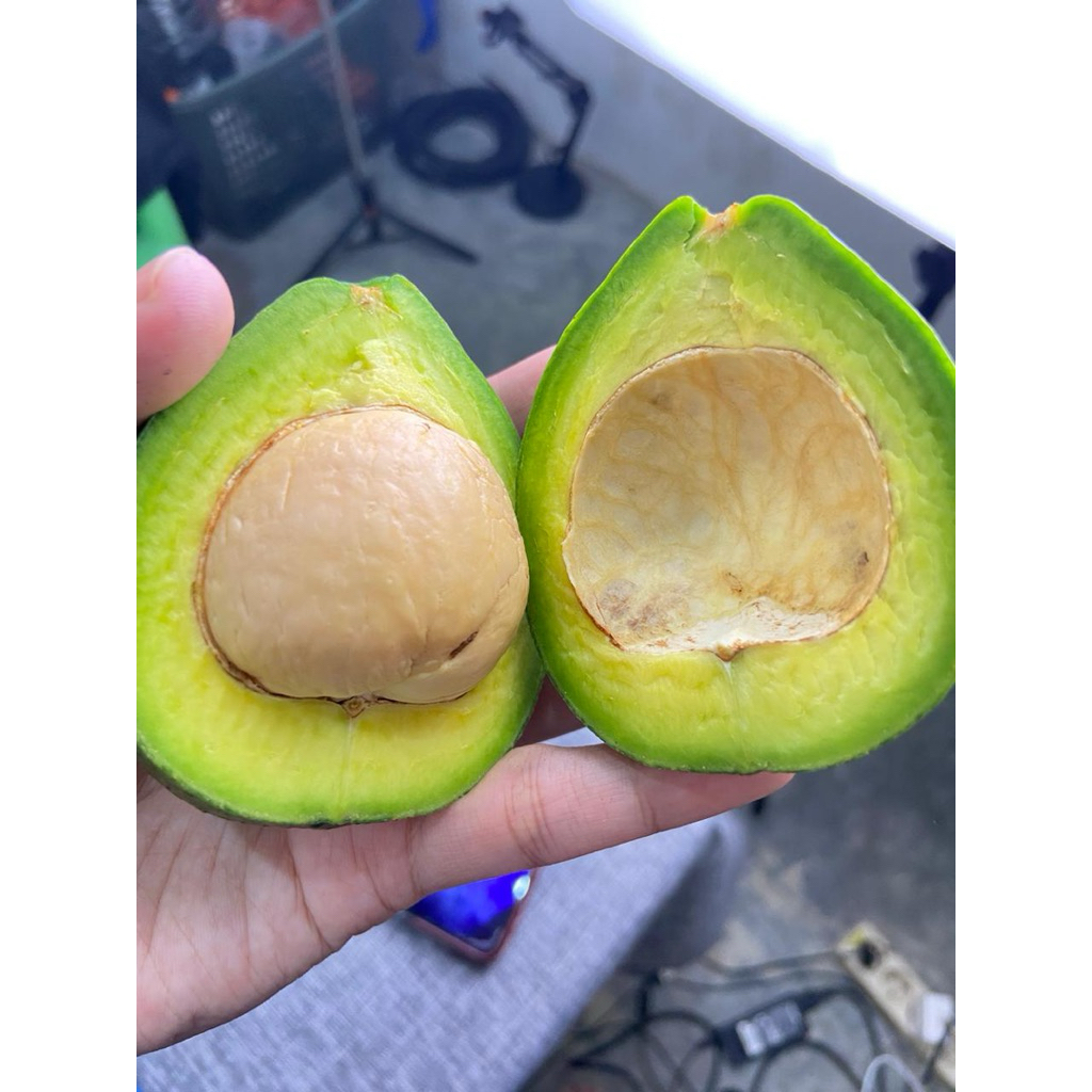 

Alpukad Mentega ASLI LAMPUNG