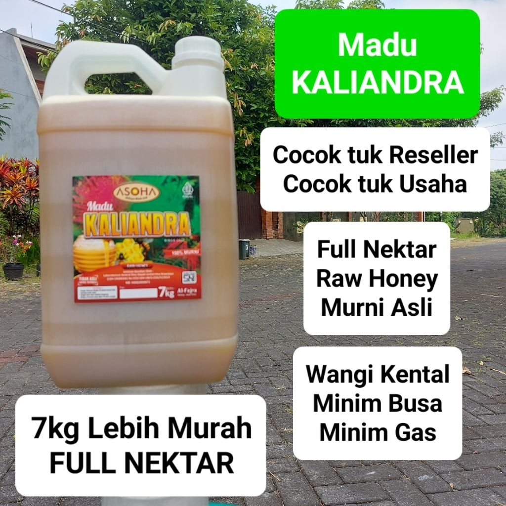 

ASOHA Madu Kaliandra 7kg Asli Murni | FULL NEKTAR | Raw Honey | Kualitas SNI