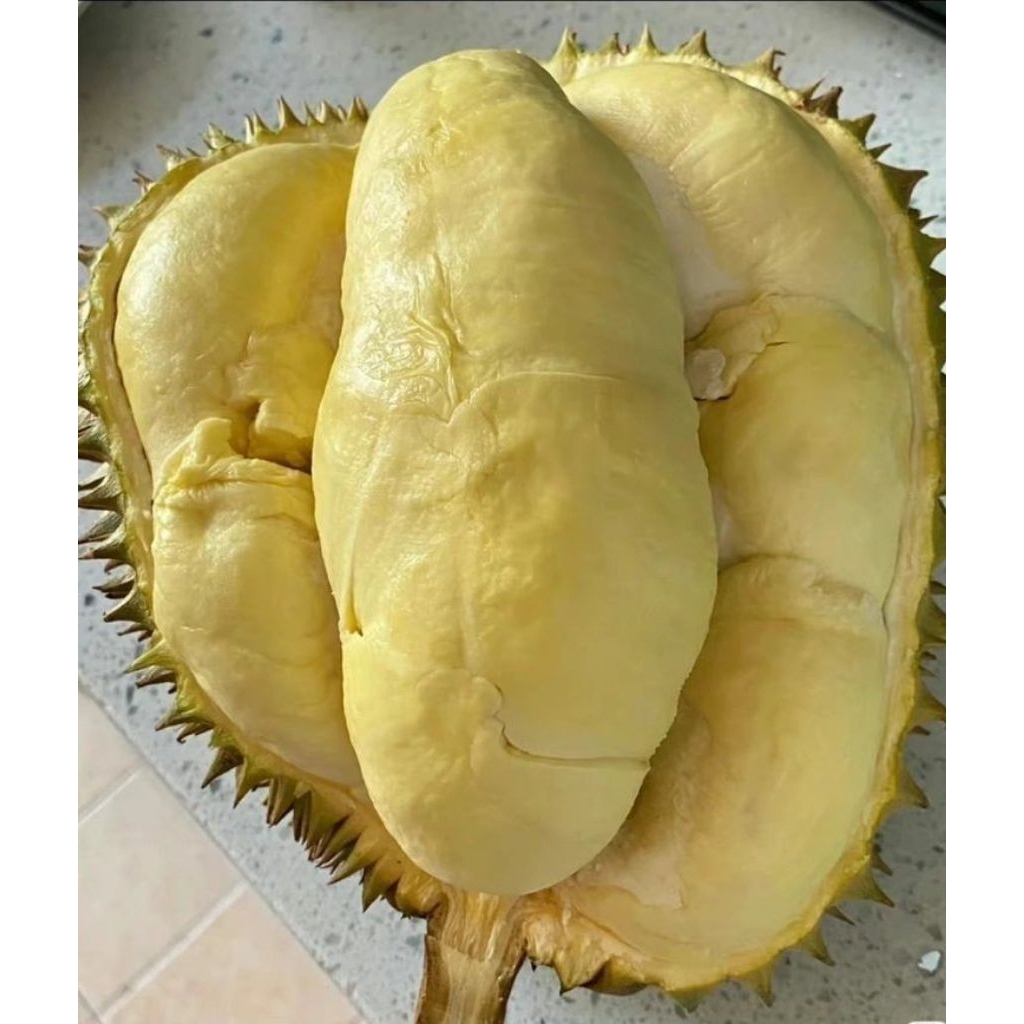 

Durian Super Montong - Durian Kupas Monthong 500Gram