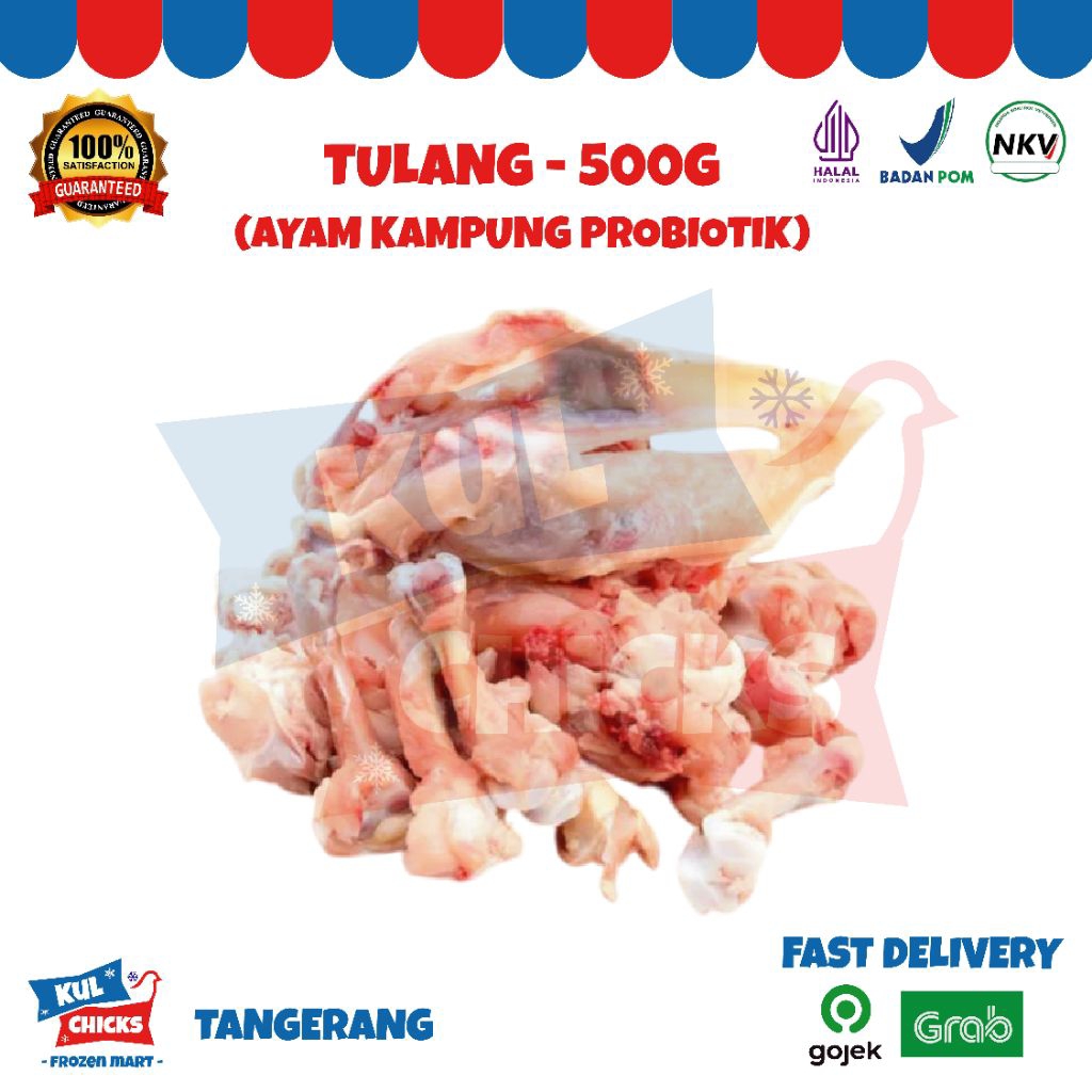 

tulang kampung probiotik