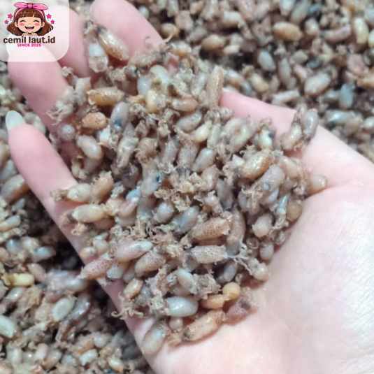 

BABY CUMI MEDAN 0,5-1 CM [TANPA PENGAWET/MSG]