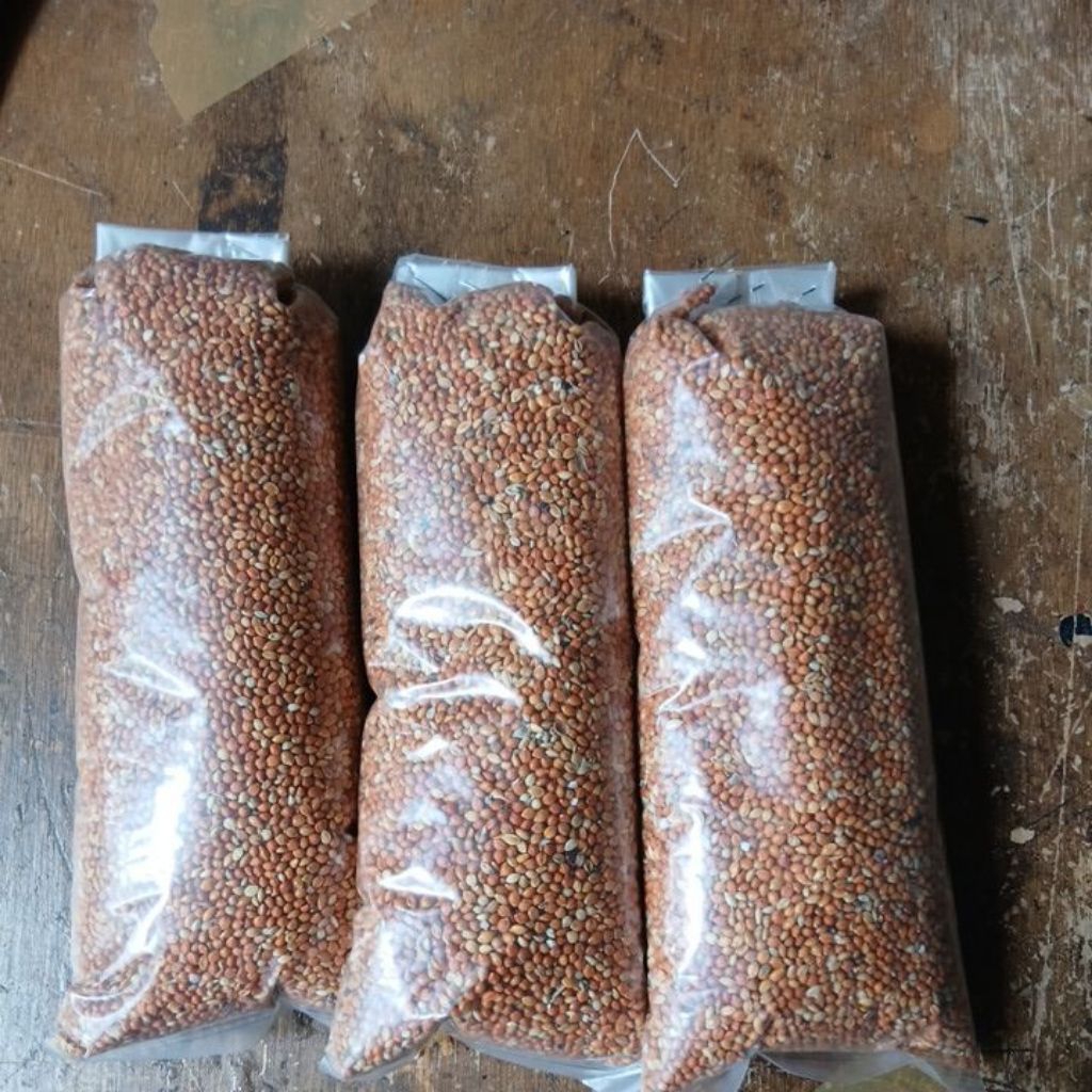 JEWAWUT. CAMPURAN PAKAN BURUNG. BIJI JEWAWUT.