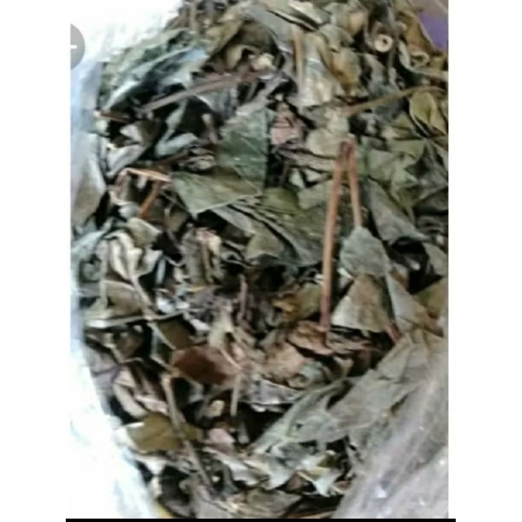 

Daun sirih kering 500gr