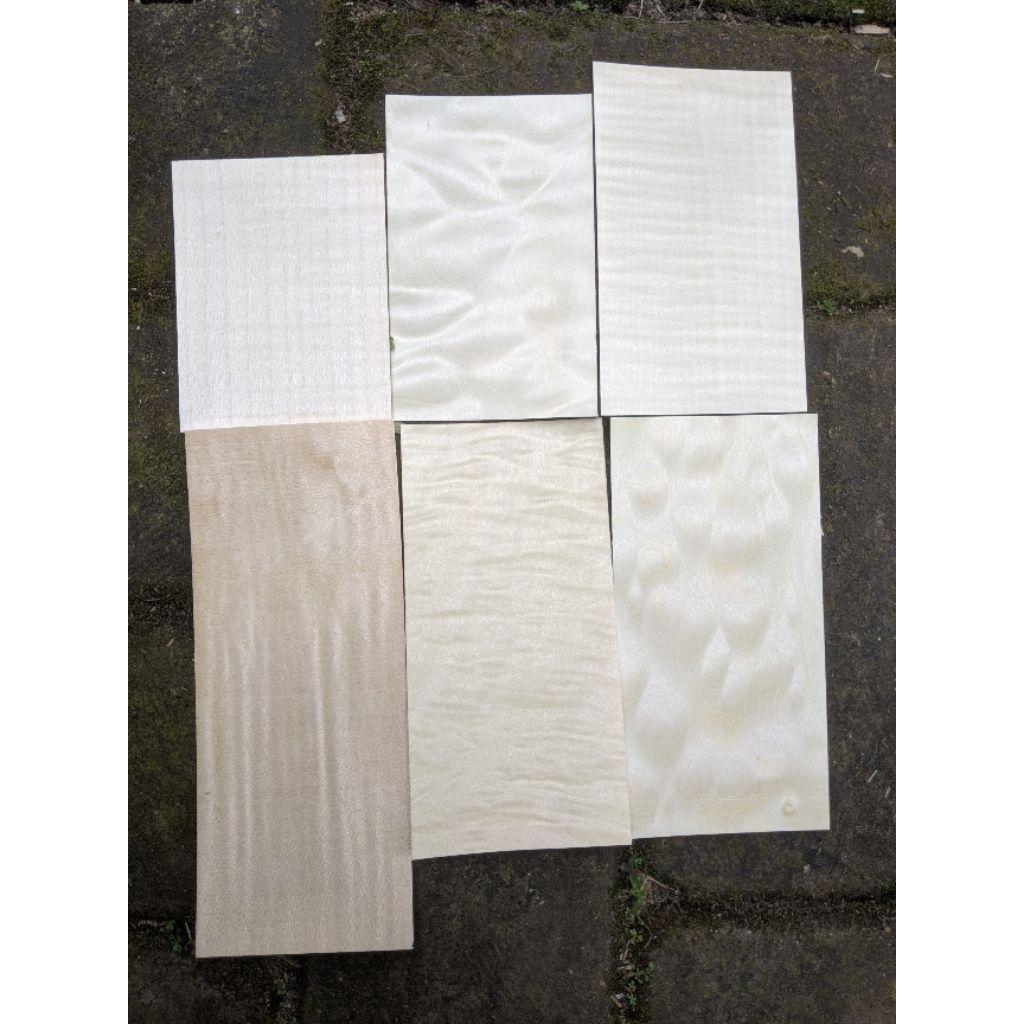 veneer kayu import 0,45 x 7 x 10-18 cm hard maple curly flames quilted
