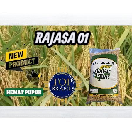 BIBIT BENIH PADI UNGGUL RAJASA 01 KEMASAN 5KG